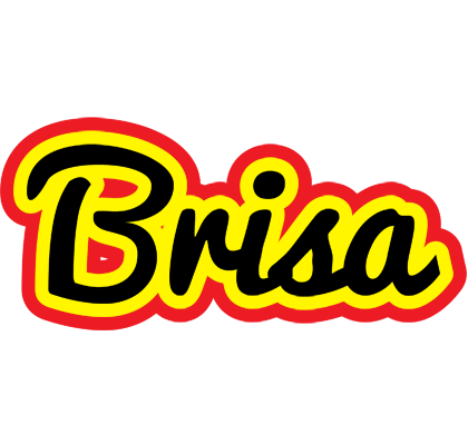 Brisa flaming logo