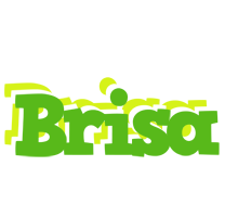 Brisa picnic logo