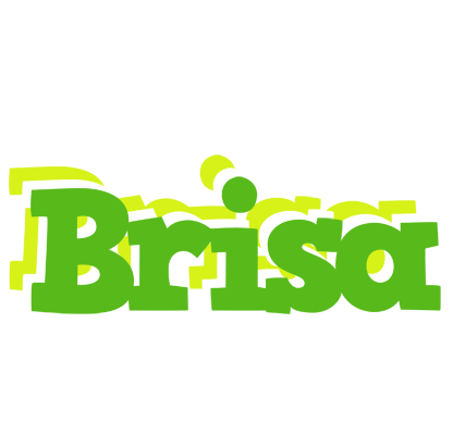 Brisa picnic logo