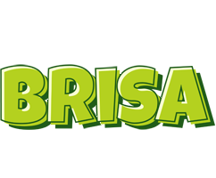 Brisa summer logo