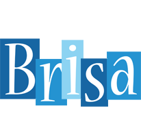 Brisa winter logo