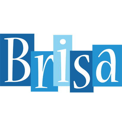 Brisa winter logo