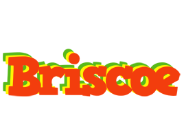 Briscoe bbq logo