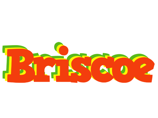 Briscoe bbq logo