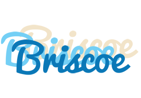 Briscoe breeze logo