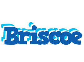 Briscoe business logo