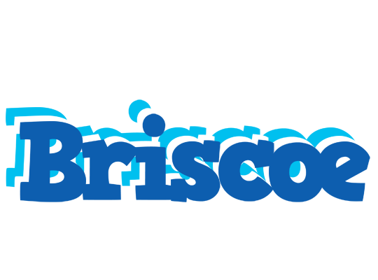 Briscoe business logo