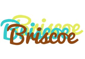 Briscoe cupcake logo