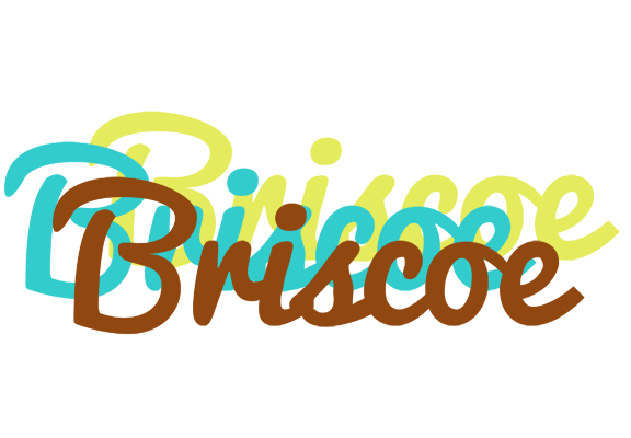 Briscoe cupcake logo