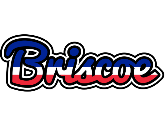 Briscoe france logo