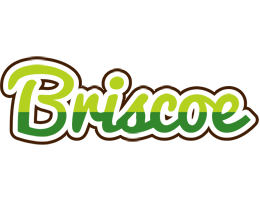 Briscoe golfing logo