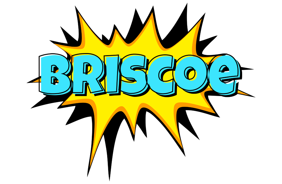 Briscoe indycar logo