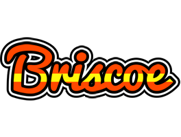 Briscoe madrid logo