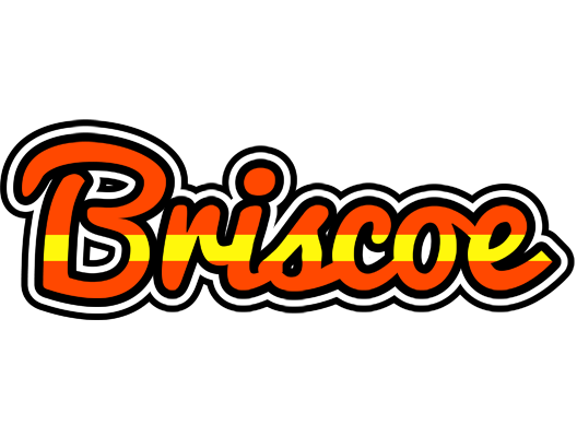 Briscoe madrid logo