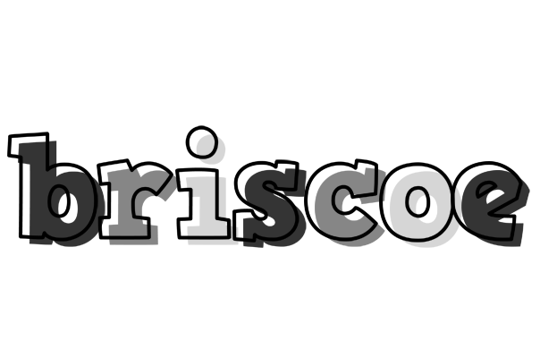 Briscoe night logo