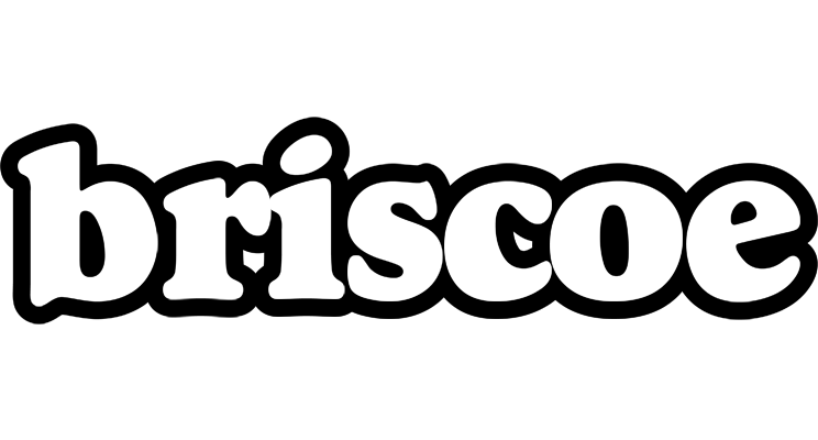 Briscoe panda logo