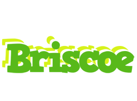 Briscoe picnic logo