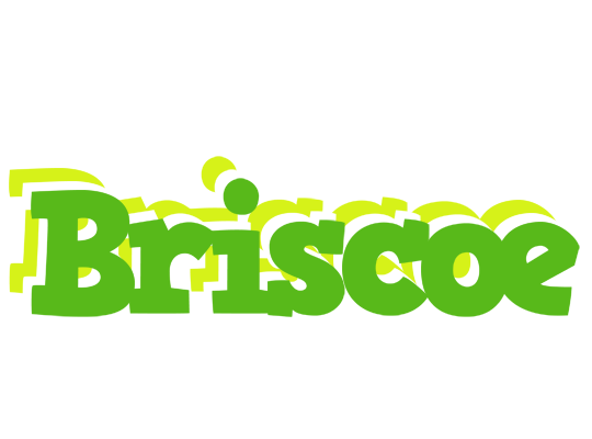 Briscoe picnic logo