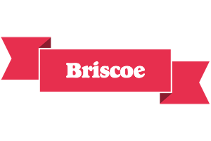 Briscoe sale logo