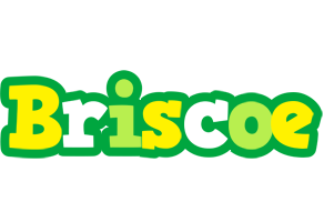 Briscoe soccer logo