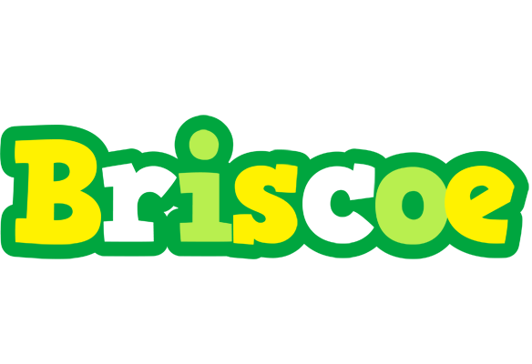 Briscoe soccer logo