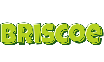 Briscoe summer logo