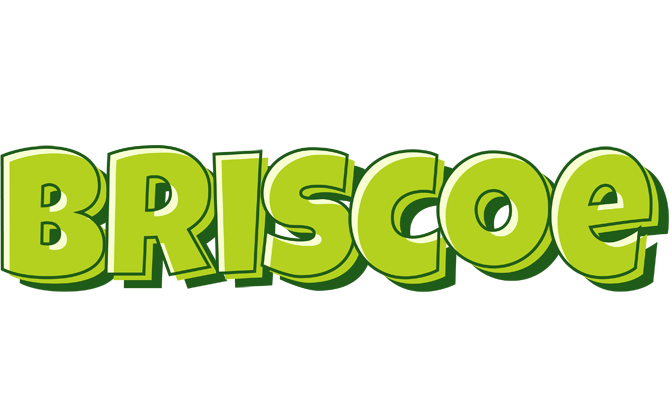 Briscoe summer logo