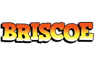 Briscoe sunset logo