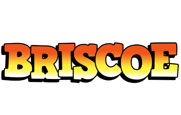 Briscoe sunset logo