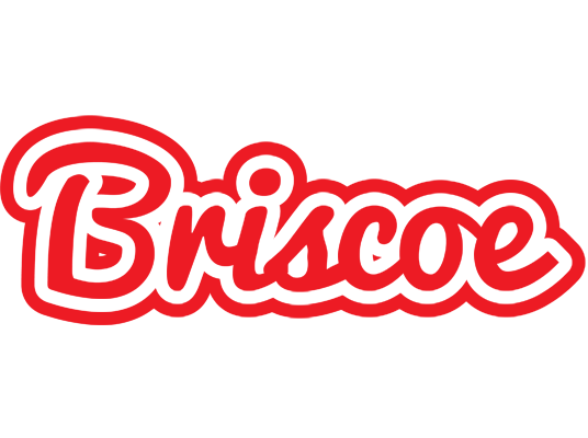 Briscoe sunshine logo