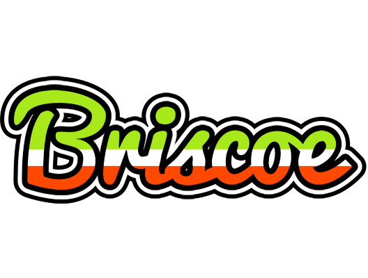 Briscoe superfun logo