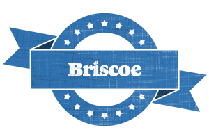 Briscoe trust logo