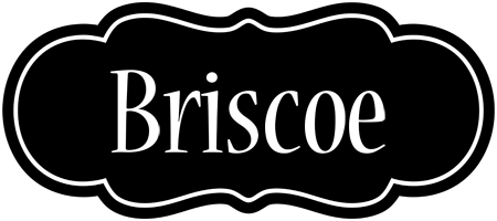 Briscoe welcome logo