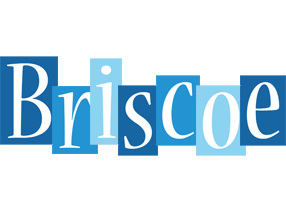 Briscoe winter logo