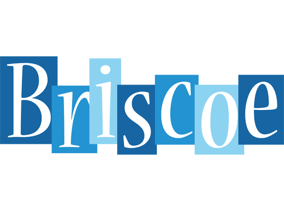 Briscoe winter logo