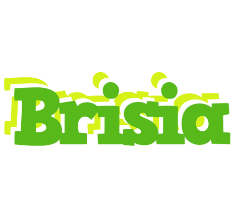 Brisia picnic logo