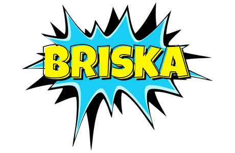 Briska amazing logo