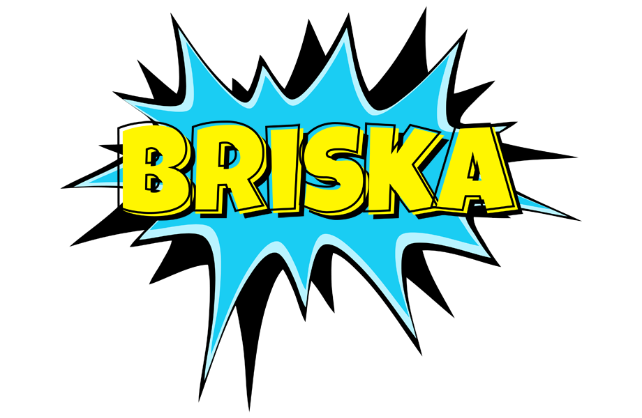 Briska amazing logo