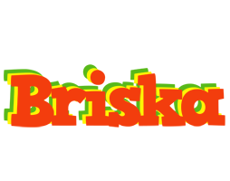 Briska bbq logo