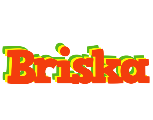 Briska bbq logo