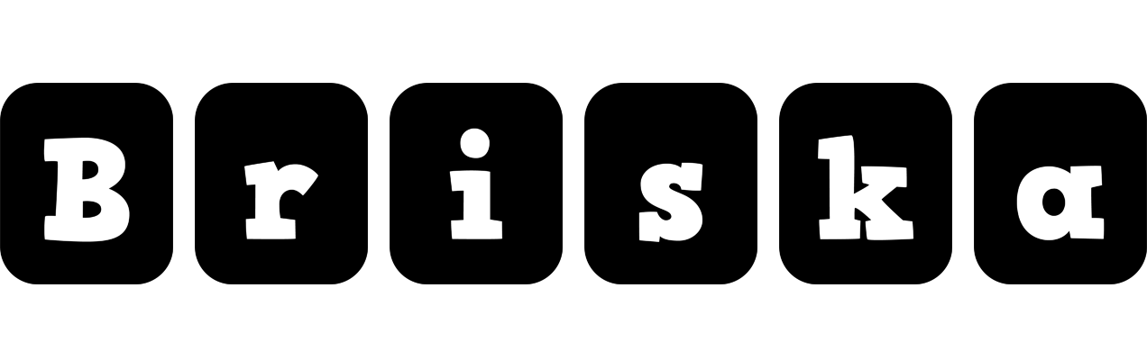 Briska box logo