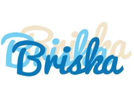 Briska breeze logo