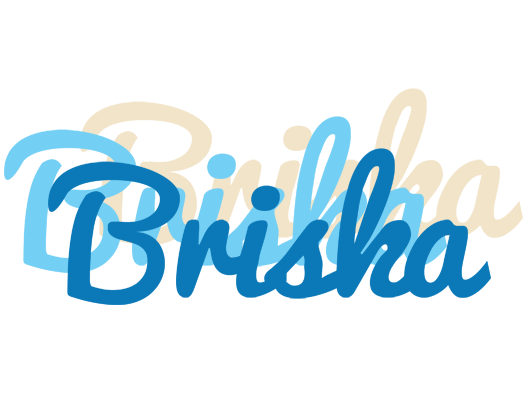 Briska breeze logo