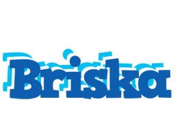 Briska business logo