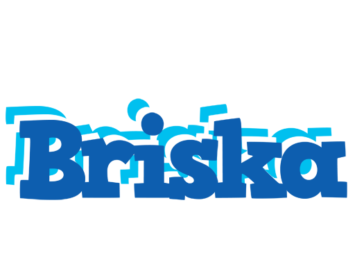 Briska business logo