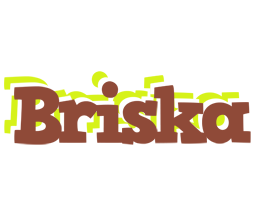 Briska caffeebar logo