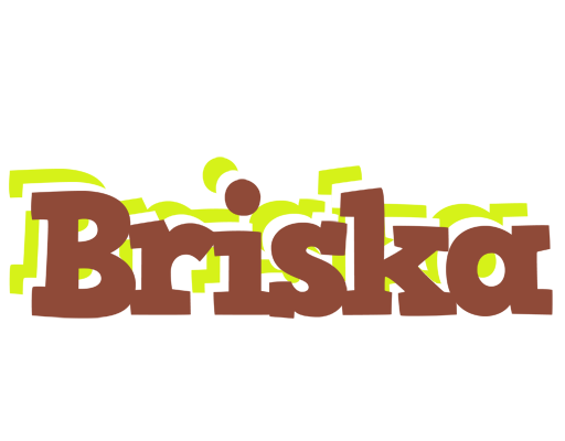 Briska caffeebar logo