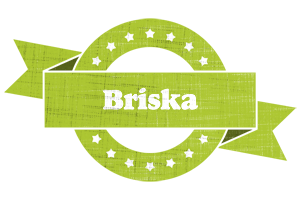 Briska change logo