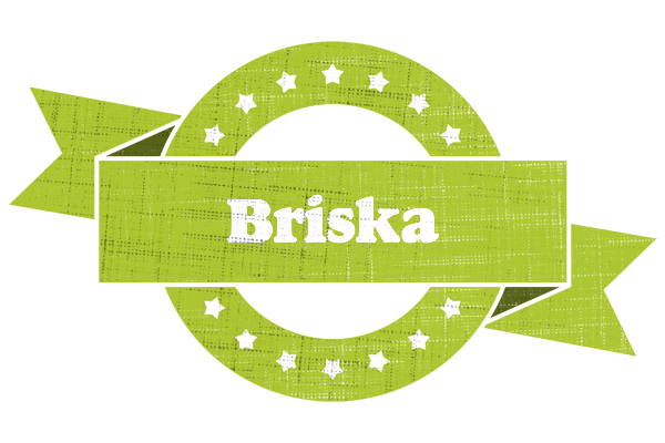 Briska change logo
