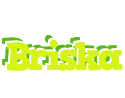 Briska citrus logo